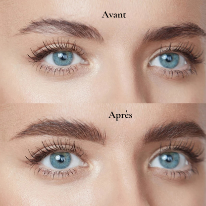 Pack Sourcils